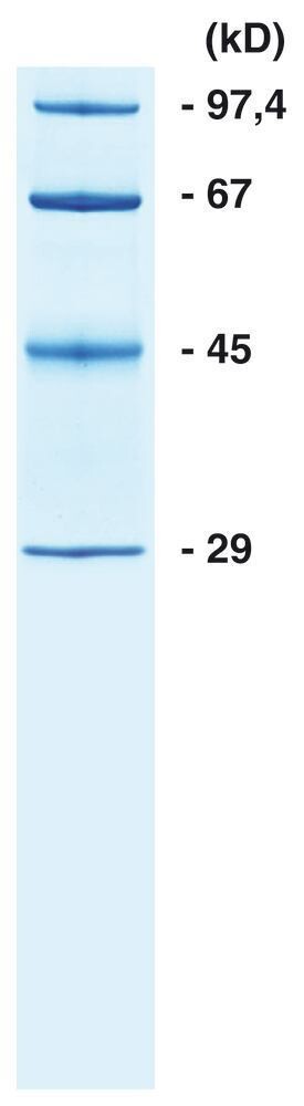 ROTI®Mark SMALL, 5 mg, glass