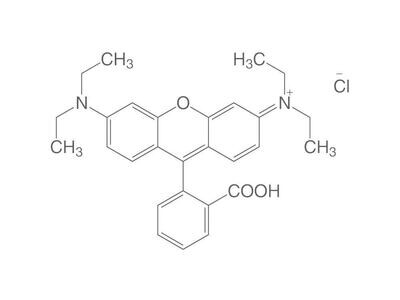 Rodamina B (CI 45170), 25 g, vetro