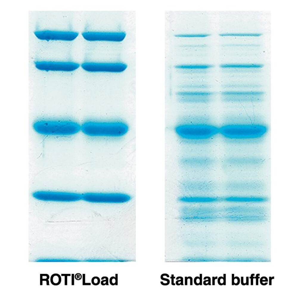 ROTI®Load 1, 40 ml, 4 x 10 ml