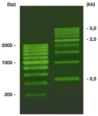 ROTI®Load DNAstain 2 SYBR® Green, 1.8 ml, 1 x 1.8 ml