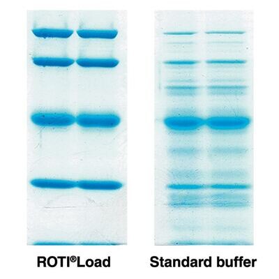 ROTI®Load 2