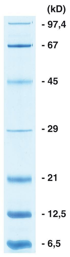 ROTI®Mark SMALL-KOMBI, 5 mg, glass