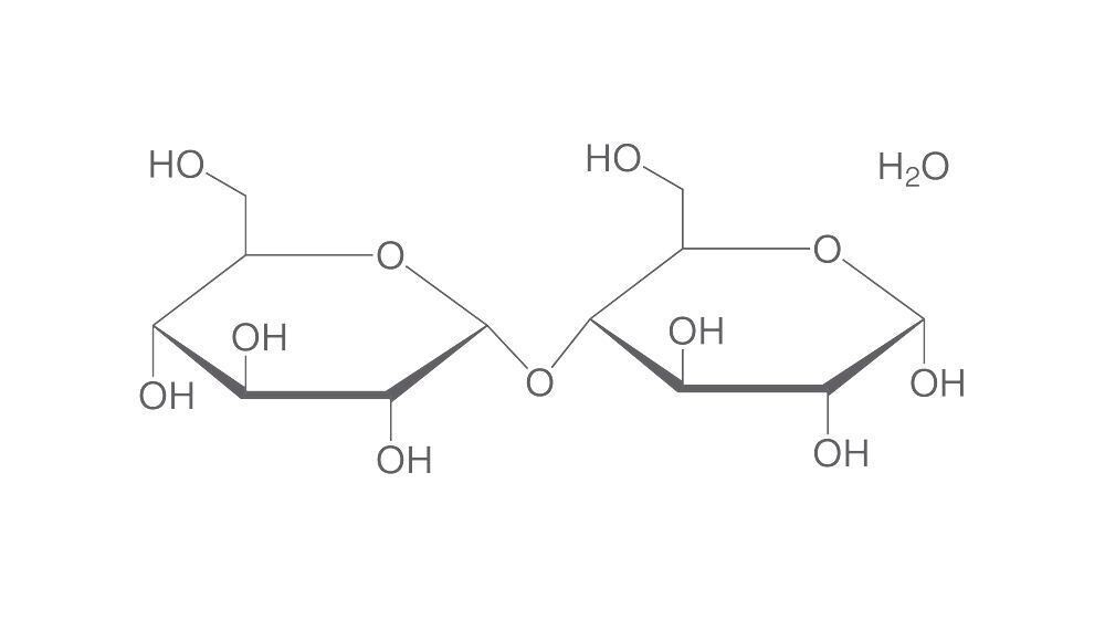 D(+)-Maltose monohydrate, 100 g