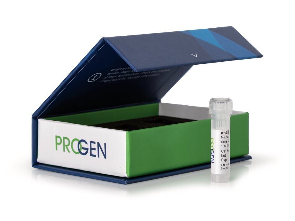 anti-GAPDH mouse monoclonal, clone 6C5, 0.2 ml