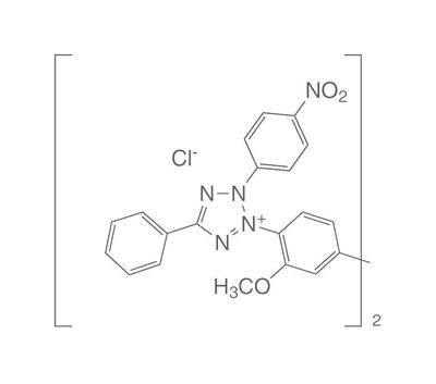 Chlorure de bleu p-nitrotétrazolium, 5 g