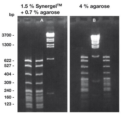 Synergel, 10 g