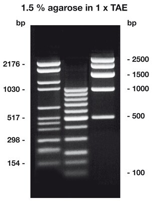 Agarose HR-PLUS, 10 g