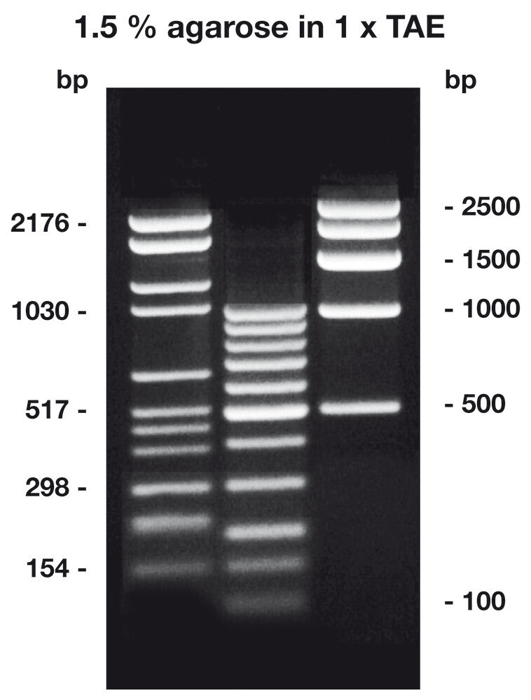 Agarose HR-PLUS, 500 g
