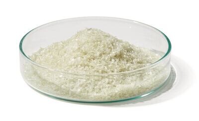 Albumina sierica bovina (BSA) frazione V, endotossina molto bassa, origine NZ, 50 g