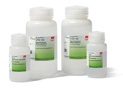Amplificateur de signal Western/ELISA-1