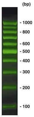 100 bp-DNA-Ladder SYBR® Verde