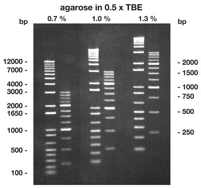 Agarose Low Melt, 25 g