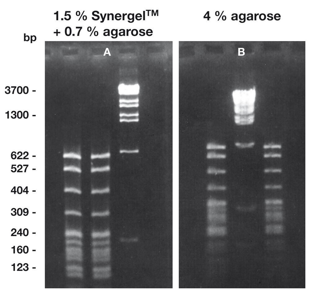 Synergel, 100 g