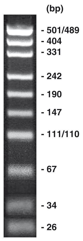 pUC19-Marker ready-to-use, 500 µl, 1 x 0,5 ml