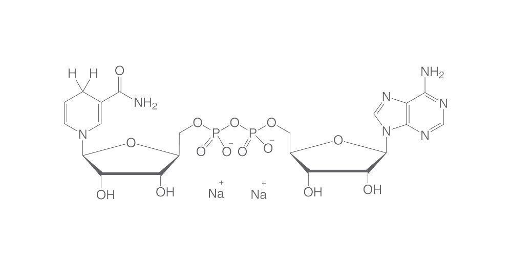 NADH disodium salt, 10 g