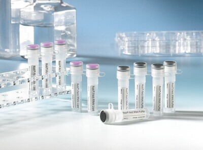 ROTI®Fect RNAi Kit, 0.2 ml