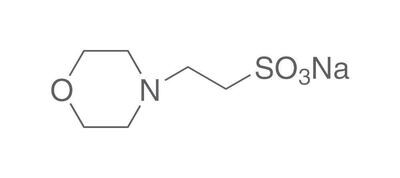 MES sodium salt, 100 g