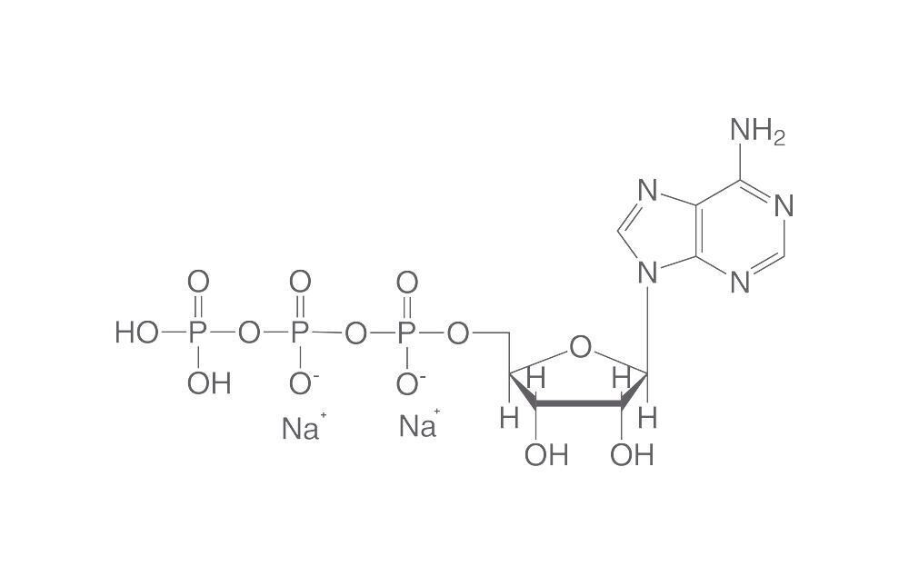 Sal disódica de adenosina-5-trifosfato (ATP), 25 g