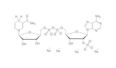 NADPH tetrasodium salt, 100 mg