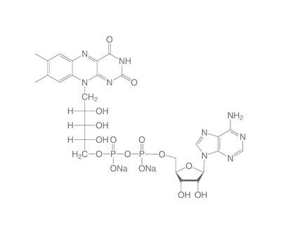 Flavine-adenine-dinucleotide disodium salt (FAD), 10 mg