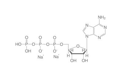 Sel disodique d&#39;adénosine-5-triphosphate (ATP), 10 g