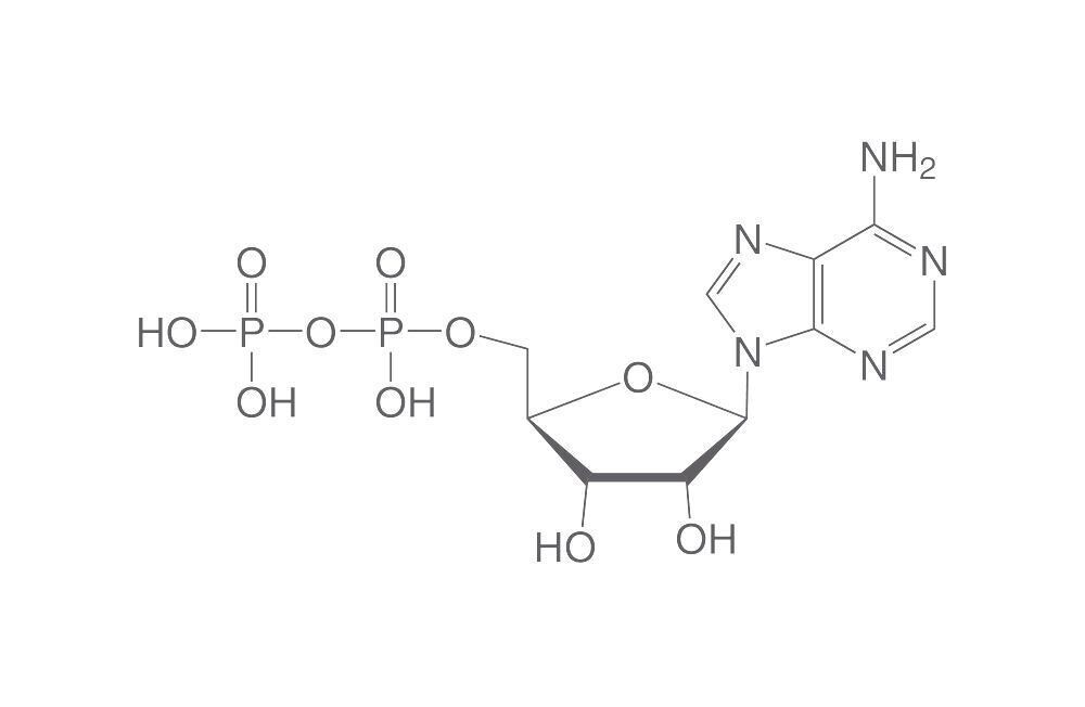 Adenosine diphosphate, 500 mg