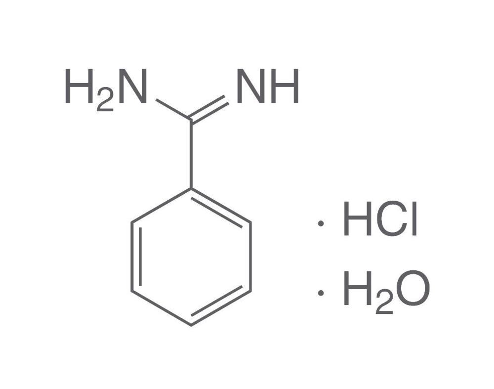 Chlorhydrate de benzamidine monohydraté, 25 g