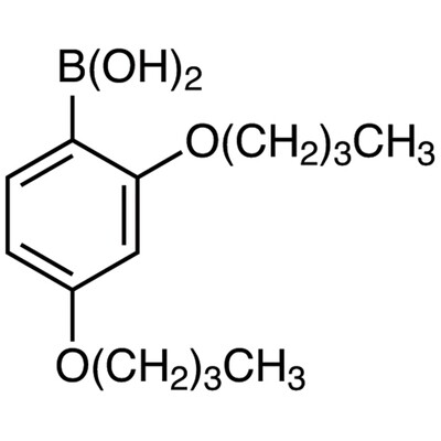 2,4-Dibutoxyphenylboronic Acid (contains varying amounts of Anhydride)1g