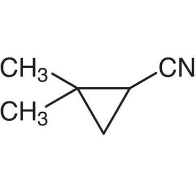 2,2-Dimethylcyclopropyl Cyanide&gt;97.0%(GC)1g