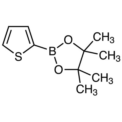2-(4,4,5,5-Tetramethyl-1,3,2-dioxaborolan-2-yl)thiophene&gt;98.0%(GC)(T)5g