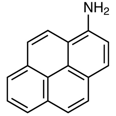 1-Aminopyrene (purified by sublimation)&gt;99.0%(HPLC)(T)1g