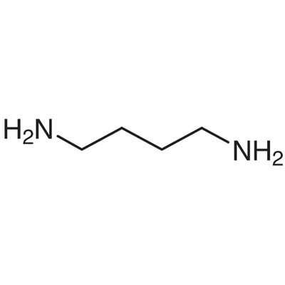 1,4-Diaminobutane&gt;98.0%(GC)(T)400g