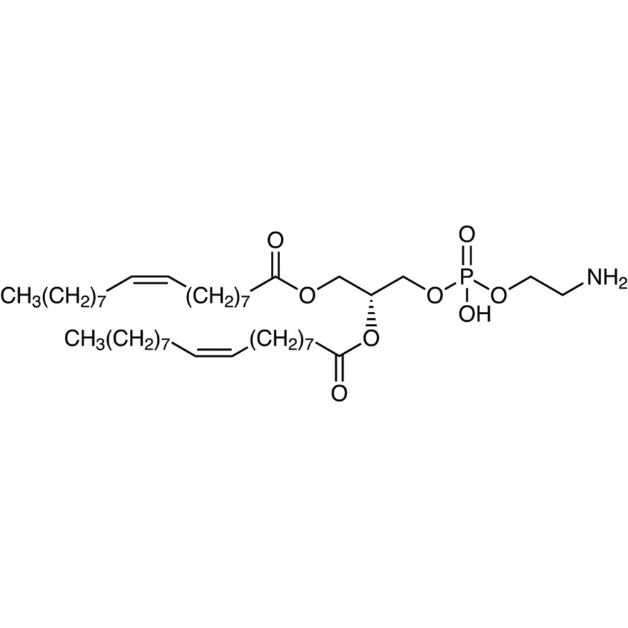 1,2-Dioleoyl-sn-glycero-3-phosphoethanolamine&gt;98.0%(T)250mg