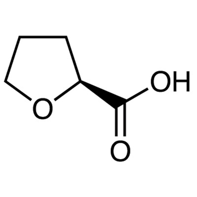 (S)-(-)-Tetrahydrofuran-2-carboxylic Acid&gt;98.0%(GC)(T)5g