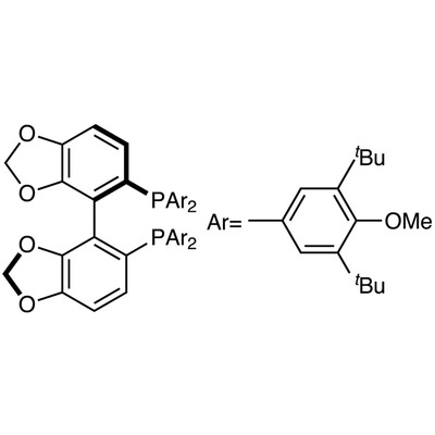 (R)-(-)-DTBM-SEGPHOS(regR)&gt;99.0%(HPLC)1g