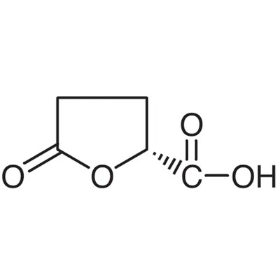 (R)-(-)-5-Oxotetrahydrofuran-2-carboxylic Acid&gt;98.0%(GC)(T)1g