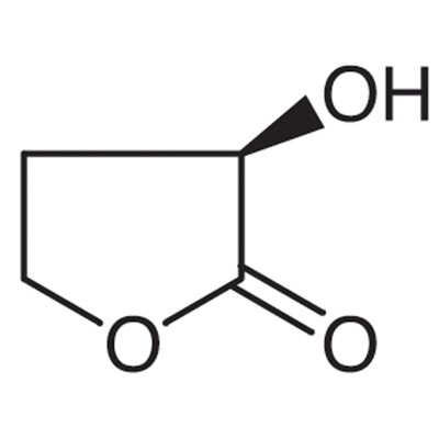 (R)-(+)-alpha-Hydroxy-gamma-butyrolactone&gt;98.0%(GC)1g