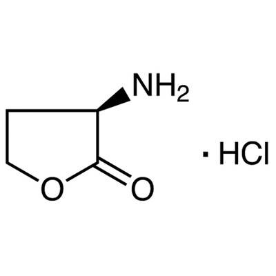 (R)-(+)-alpha-Amino-gamma-butyrolactone Hydrochloride&gt;98.0%(N)(T)1g