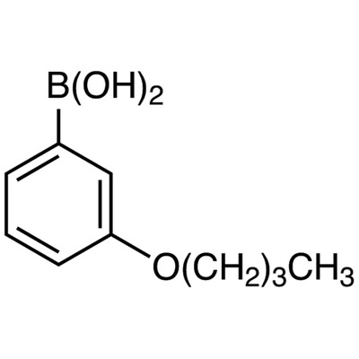 3-Butoxyphenylboronic Acid (contains varying amounts of Anhydride)1g