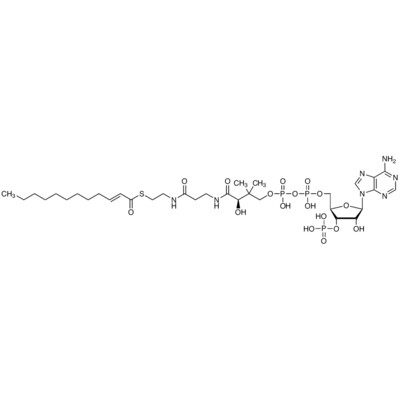 2-trans-Dodecenoyl-Co A&gt;86.0%(HPLC)25mg