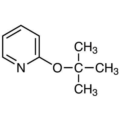 2-tert-Butoxypyridine&gt;98.0%(GC)5g