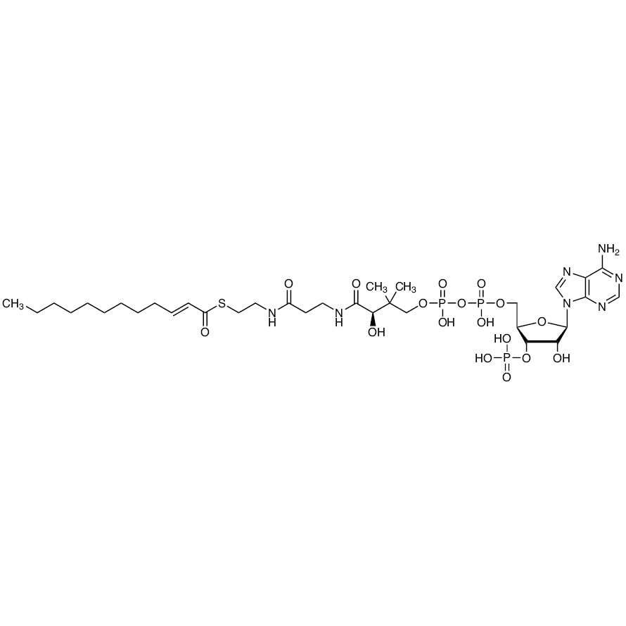 2-trans-Dodecenoyl-Co A&gt;86.0%(HPLC)5mg