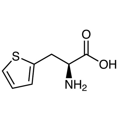 3-(2-Thienyl)-L-alanine&gt;97.0%(HPLC)(T)1g