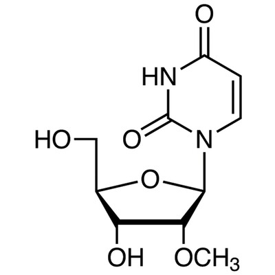 2&#39;-O-Methyluridine&gt;98.0%(HPLC)(T)1g