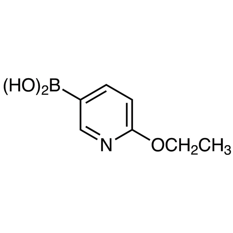 2-Ethoxypyridine-5-boronic Acid (contains varying amounts of Anhydride)1g