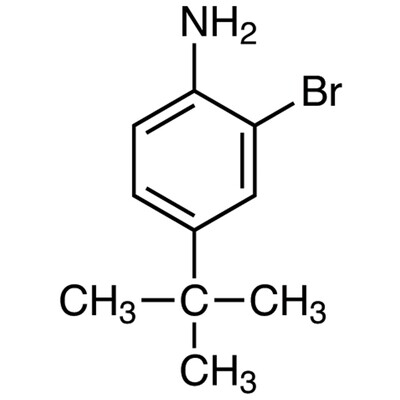 2-Bromo-4-(tert-butyl)aniline&gt;98.0%(GC)(T)5g