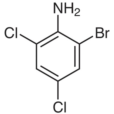 2-Bromo-4,6-dichloroaniline&gt;97.0%(GC)5g