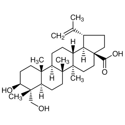 23-Hydroxybetulinic Acid&gt;98.0%(HPLC)25mg