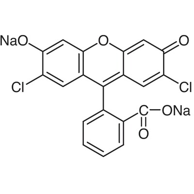 2&#39;,7&#39;-Dichlorofluorescein Sodium Salt&gt;98.0%(T)1g