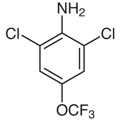 2,6-Dichloro-4-(trifluoromethoxy)aniline&gt;98.0%(GC)5g